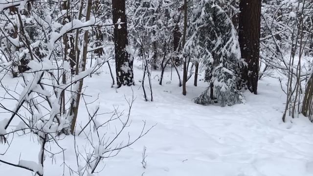 Неожиданно познакомился с соседкой, и остался доволен. Истории из жизни. Любовные аудио рассказы. смотреть онлайн