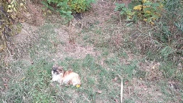 Шестое чувство ~ Интуиция ~ Подсознание.