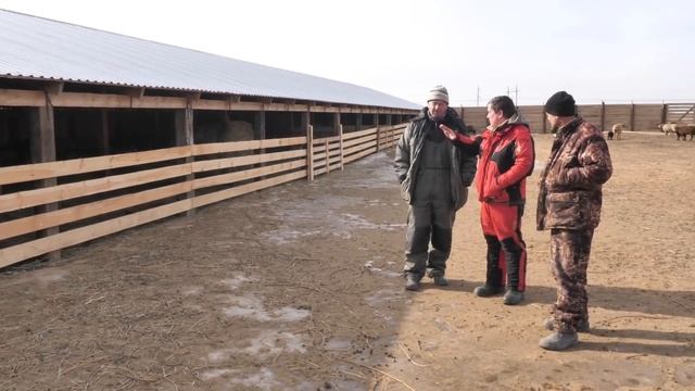 Племенное хозяйство «Эдильбай»