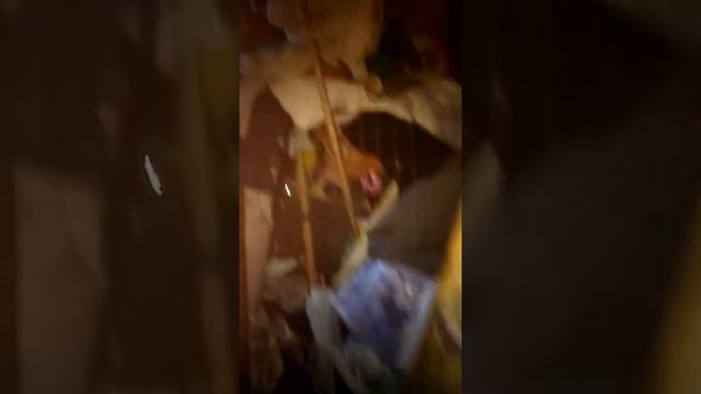 Балаково квартира завалена мусором