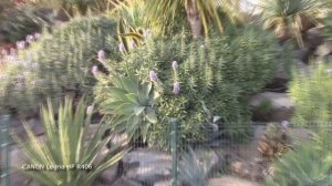 Качество сьемки Canon Legria HF R406