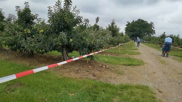 А не поехать ли нам с вами за витаминами? | #662 смотреть онлайн