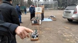 Ярмарка-выставка голубей.      г.Енакиево. Ноябрь 2021 года.