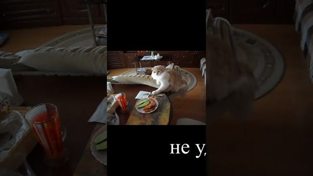 На посту