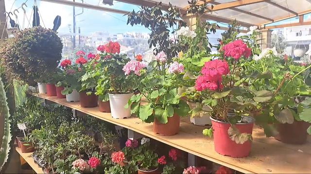 Поздравление с 8 Марта смотреть онлайн