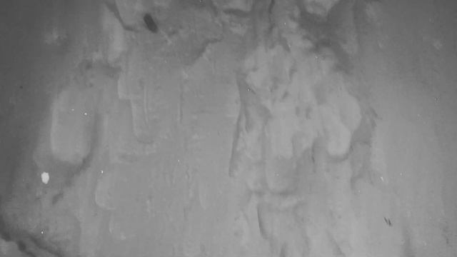 Zaychik — акцидентный шрифт для визуальной новеллы «Зайчик» смотреть онлайн