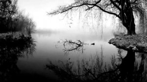 SATURNUS (denmark ) 2012 - forest of insomnia.