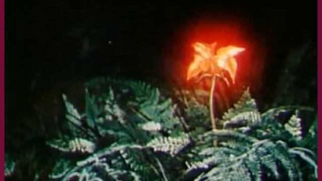 Папоротник с эффектом цветения, который создан в фотошопе - Изображение № 1319 -