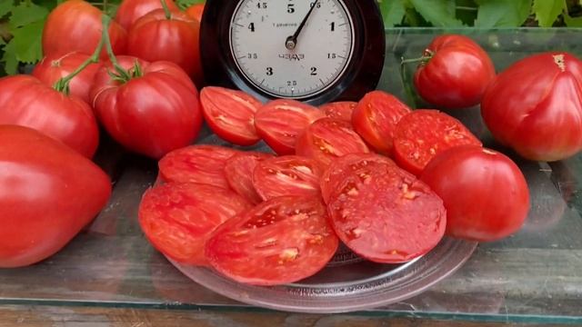 ЗАКАЗ СЕМЯН. Как заказать в описании. Томаты из моего каталога. Выбираем сорта на следующий сезон. смотреть онлайн