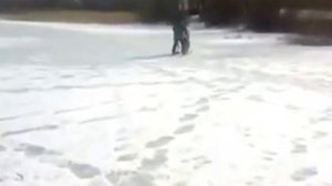 Снегоход из бензопилы