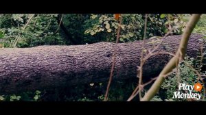 Sony Nex 5R cinematic look