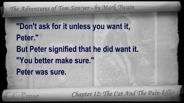 Chapter 12 - The Adventures of Tom Sawyer by Mark Twain - The Cat And The Pain-killer смотреть онлайн