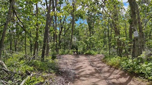 Владивосток дорога до острова Шкота, остров Русский. Прогулка на сапах. смотреть онлайн