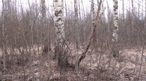 Охота с РПГ Добычем 18 01 2020