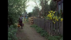 Афоня: "Снится мне деревня..." История нашего времени.