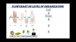 Science for Class Six (Day 03 / Week 01)