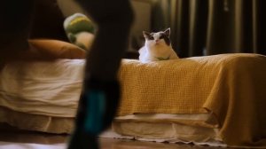 Dance Dash | Full Body VR Rhythm Game + Trackstraps