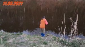 Щука в мае на спиннинг и живца — Свердловская область речка Реж