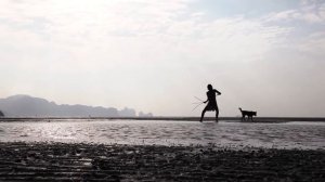 У Попа была Собака... 💞🌱