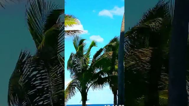 Copy of Timelapse тест фильтр музыка loop 2 Florida