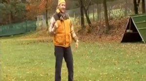 Леонбергер - Полное Описание Породы