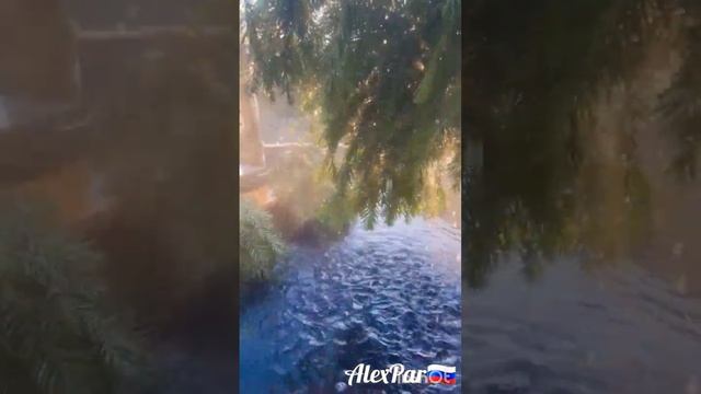 Банный Чан https://t.me/AlexRusPar#баня #Пихтовый веник #баня #парилка #кайф #фантастика смотреть онлайн