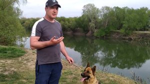 СОВЕТЫ КТО ХОЧЕТ ЗАВЕСТИ НЕМЕЦКУЮ ОВЧАРКУ/ЭТО ВАЖНО/