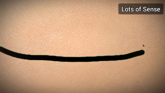 СЕРИНГАНЫ | НАРУТО (анимация) смотреть онлайн