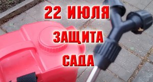 22 июля. Защита сада