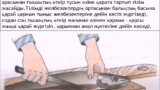 Қабыршақты балықтарды өңдеу (бөлу) смотреть онлайн