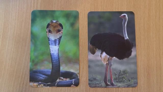 Тест на развитие интуиции и ясновидения. 14 Задание - Как развить ясновидение. Тест на интуицию смотреть онлайн