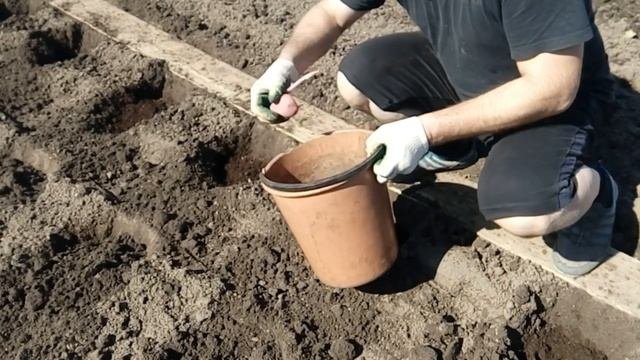 Посадка картофеля // Выпуск#28