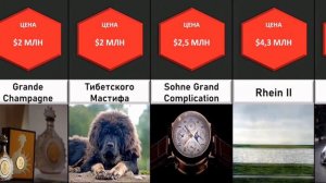 Сравнение: Самые дорогие вещи в мире