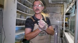 Кто родился в амфибиятне и что случилось?