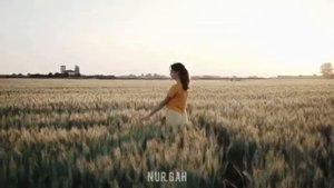 Не запрещай себе мечтать | Автор стихотворения: Эризн