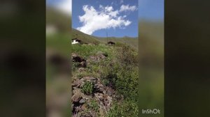 мое родное село Чорода Тляратинский район