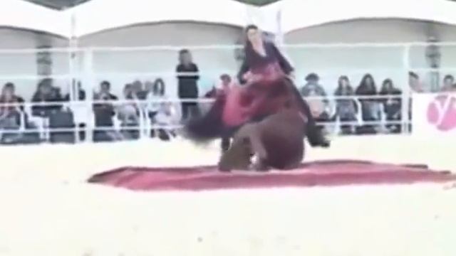 Çerkes Müziği ile Dans Eden At смотреть онлайн