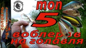 ТОП 5 лучших воблеров на голавля . Обзор воблеров для ловли голавля.