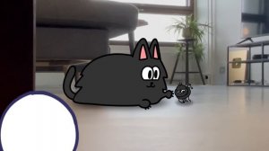 Rabbert saves homeless cat