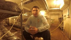 Выращивание Шампиньонов В Домашних Условиях. Компост