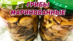Маринованные Белые Грибы