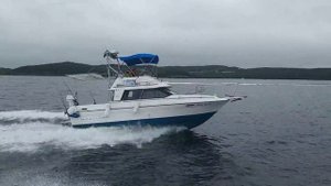 Bayliner 2556