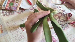 Ринхостилис погибает ??. Орхидея Феникс ? ...на что нужно обращать внимание вовремя