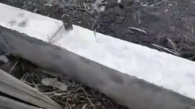 Фундамент под пристрой готов