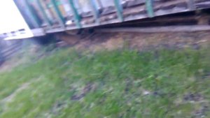 отводки на роевые маточники