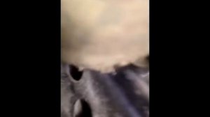 Замена переднего габарита лада калина