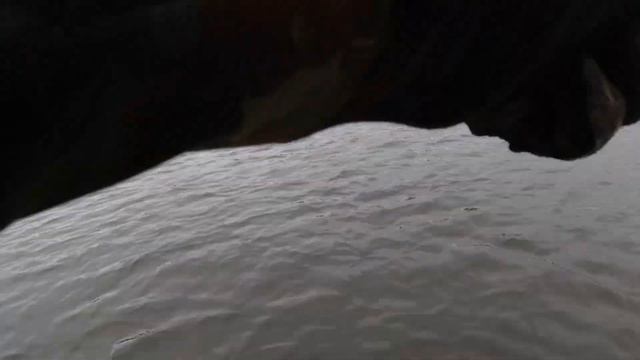 Чем мы ловили щуку прошлым летом смотреть онлайн