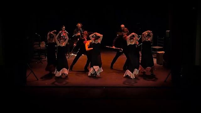 Seguiriya con castañuelas y baston - Concurso int Flamenco puro Jerez смотреть онлайн