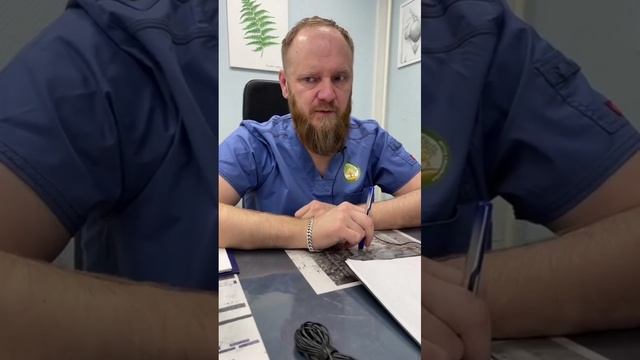 Тромбоциты повышенны, правильным питанием можно нормализовать тромбоциты