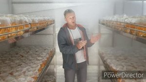 Владелец фермы показал как растет кордицепс милитарис в горах Вьетнама